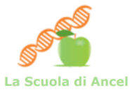 la scuola di ancel